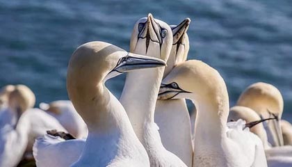 爱游戏在线娱乐官网-法国战平后，晋级希望寄托于他人，法国战役之后