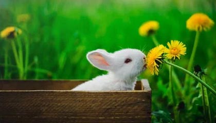 爱游戏在线娱乐官网-法国战平后，晋级希望寄托于他人，法国战役之后